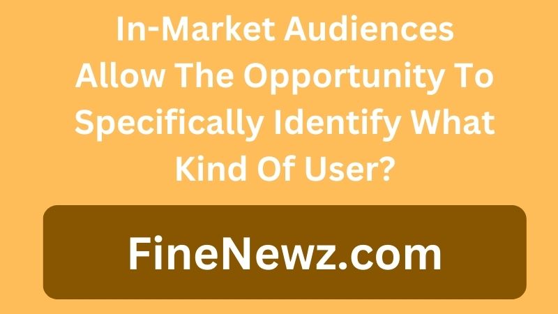 In-Market Audiences Allow The Opportunity To Specifically Identify What Kind Of User?
