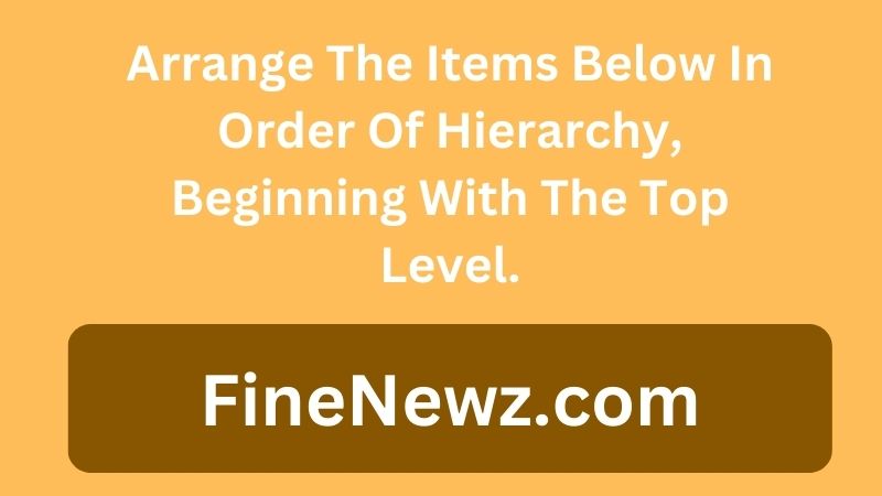 Arrange The Items Below In Order Of Hierarchy, Beginning With The Top Level.